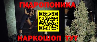 гашик Волжский