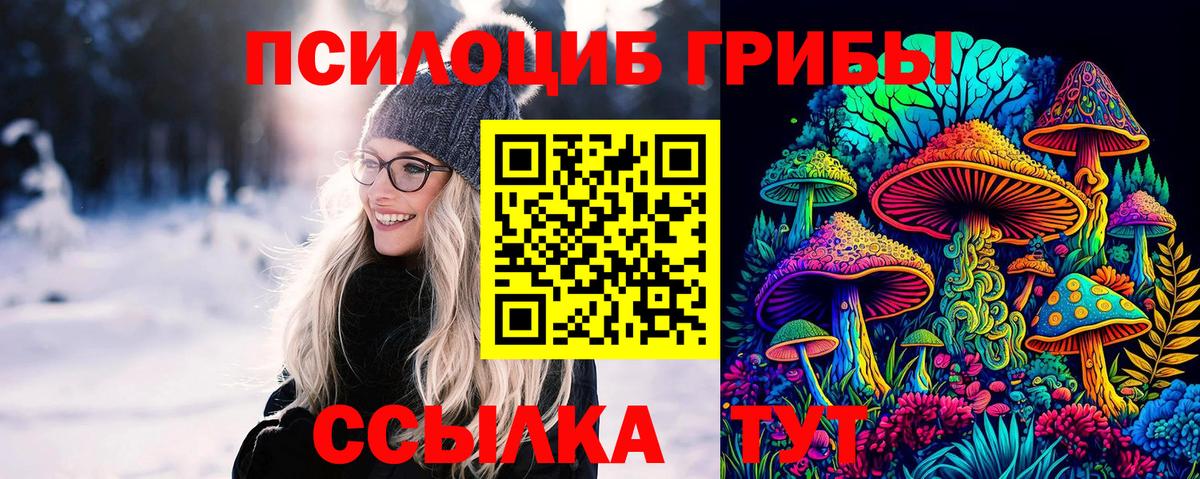 Псилоцибиновые грибы мухоморы  Вход с VPN  Кингисепп 